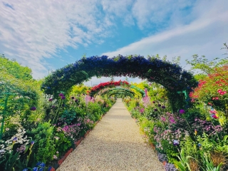 浜名湖ガーデンパーク「印象派庭園 花美の庭」